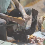 Cutting fish - Log, colour and B&W