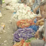 Seller Selling Flowers in Flower Market - Log, colour and B&W