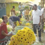 Selling Flower in Flower Market Kolkata - Log, colour and B&W