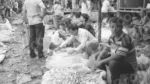 Flower Market Kolkata - Log, colour and B&W - Image 2