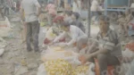 Flower Market Kolkata - Log, colour and B&W - Image 3