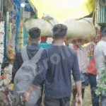 Flower Market in Kolkata - Log, colour and B&W