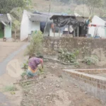 Women Cleaning the field - Log, colour and B&W