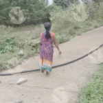 A Woman Throwing Bushes - Log, colour and B&W