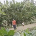 Man or boy walking on the road - Log, colour and B&W