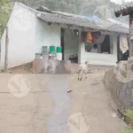 A Rural Tribal Village - Log, colour and B&W