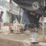 A Tribal Village and A Woman in Traditional Clothing - Log, colour and B&W
