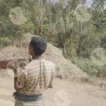 Tribal Area - Log, colour and B&W