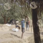 People Winnowing Grain - Log, colour and B&W