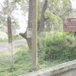 A Sign for the Coffee Board, on Roadside - Log, colour and B&W