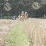 A Group of People Walking Through a Field - Log, colour and B&W