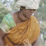 A Woman harvesting Pokkali rice - Log, colour and B&W