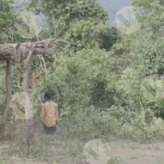 Some Tribal People Walking Through the Field - Log, colour and B&W