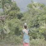 Woman carrying a Water bottle on her head, and going to work - Log , colour and B&W