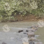 A River - Log, colour and B&W