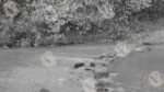 A River - Log, colour and B&W - Image 2