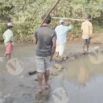 A Group of People Crossing River - Log, colour and B&W