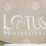 Lotus Professional Board - Log, colour and B&W