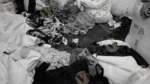 Pieces of clothes - Log, colour and B&W - Image 2