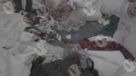 Pieces of clothes - Log, colour and B&W - Image 3