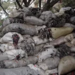 Wasted Cloths - Log, colour and B&W