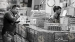 Man Eating Biscuits in a Bakery Shop - Log, colour and B&W - Image 2