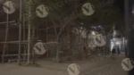 View from Electric Rickshaw - Log, colour and B&W - Image 3