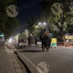 Elephant Walking in Jaipur Road - Log, colour and B&W