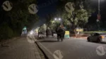 Elephant Walking in Jaipur Road - Log, colour and B&W