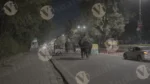 Elephant Walking in Jaipur Road - Log, colour and B&W - Image 3