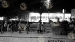 Statues (ART) in Jal Mahal - Log, colour and B&W - Image 2