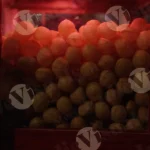 Paani Puri (Water Bottle) - Log, colour and B&W