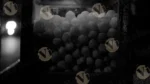 Paani Puri (Water Bottle) - Log, colour and B&W - Image 2