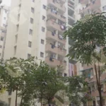 Apartment Buildings - Log, colour and B&W