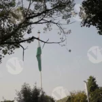 Indian National Flag - Log, colour and B&W