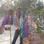 Selling Home Decor item - Log, colour and B&W