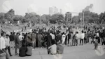 People are Protesting for Justice - Log, colour and B&W - Image 2