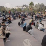 People are Sitting in CP Park - Log, colour and B&W
