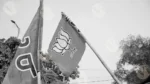 BJP Flag (Politics) - Log, colour and B&W - Image 2