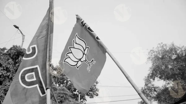 C0160DelhiElectionMCWM result