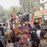 Crowd In a BJP Rally - Log, colour and B&W