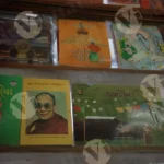 Dalai Lama and Other Books in a Shop - Log, colour and B&W