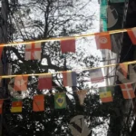 Country Flags - Log, colour and B&W