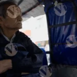 Passenger in a Local Public Transport - Log, Colour and B&W