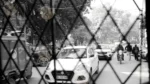 Back View of Auto Rickshaw - Log, colour and B&W - Image 2