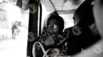 A Old Woman  Setting in a Auto - Log, colour and B&W - Image 2