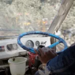 Local Public Transport - Log, Colour and B&W