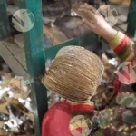 Collecting Paper Plates - Log, colour and B&W