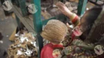 Collecting Paper Plates - Log, colour and B&W