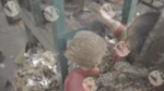 Collecting Paper Plates - Log, colour and B&W - Image 3